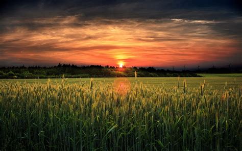 wallpaperaccess|free wallpaper backgrounds.